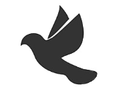 A Missa dominical é uma força que nos leva a sair de nós mesmos